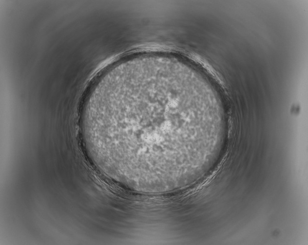 X0000096451213200802211226