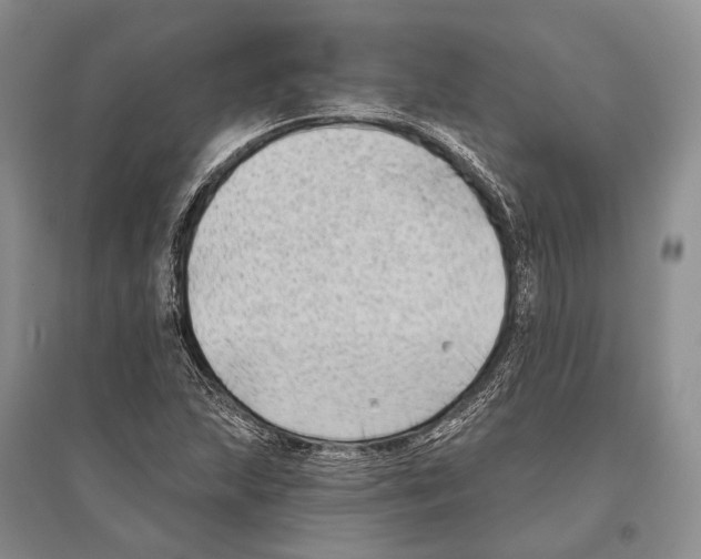 X0000096451215200802211226