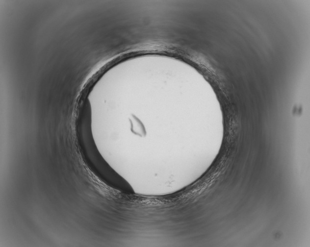 X0000096451216200802211226