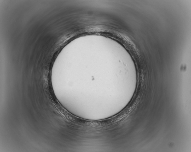 X0000096451217200802211226