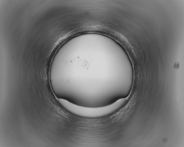 X0000096451218200802211226