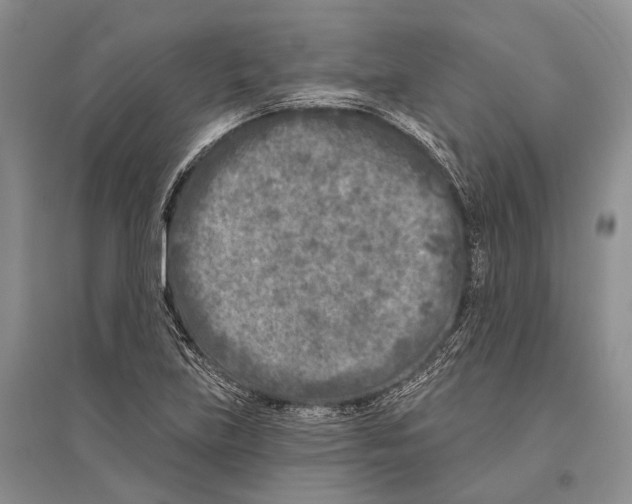 X0000096451219200802211226