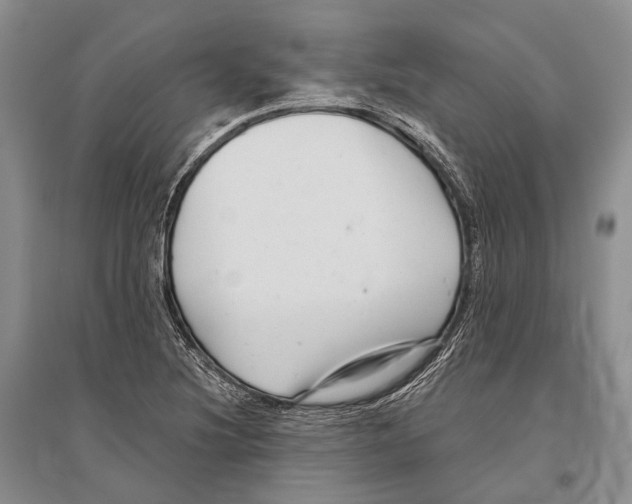 X0000096451220200802211226