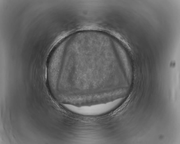 X0000096451221200802211226