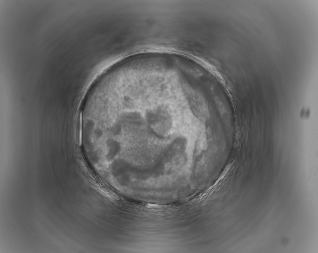 X0000096451223200802211226