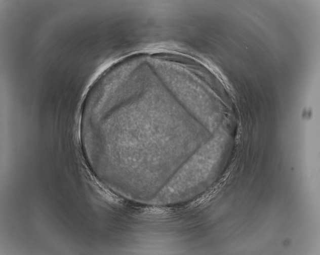 X0000096451224200802211226