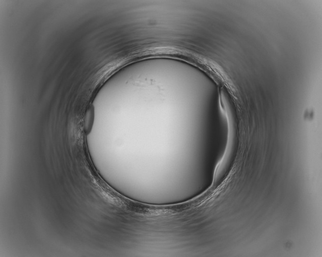 X0000096451225200802211226