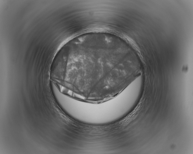 X0000096451226200802211226