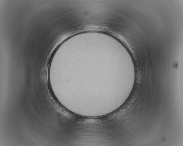 X0000096451227200802211226