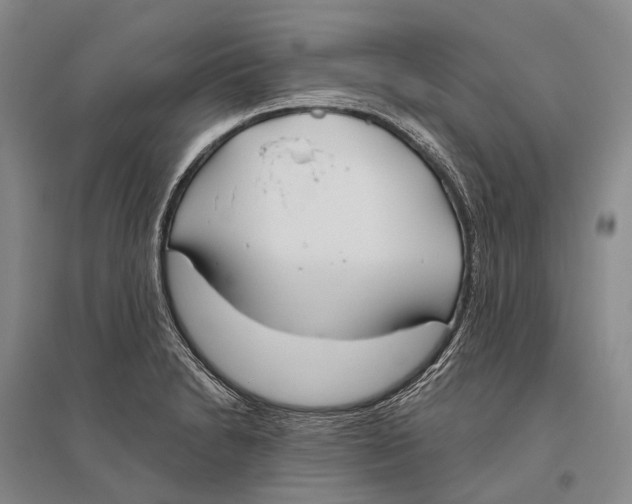 X0000096451230200802211226