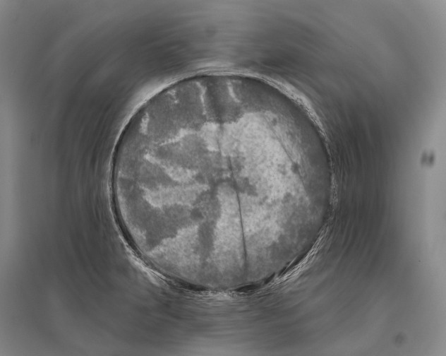 X0000096451231200802211226