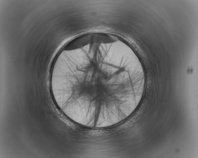 X0000096451232200802211226