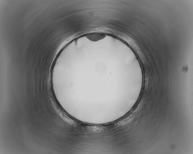 X0000096451234200802211226