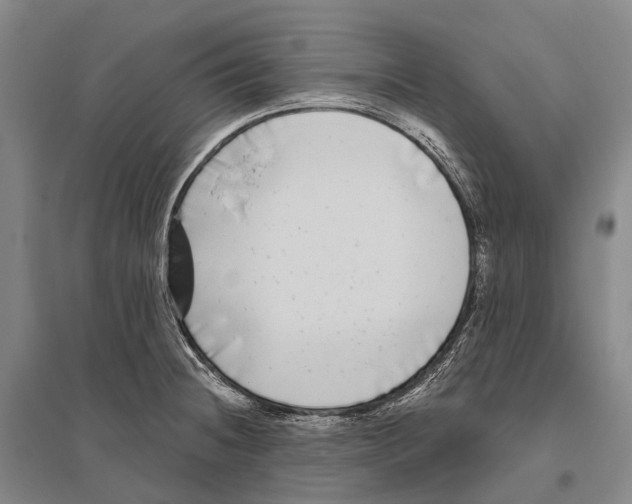 X0000096451236200802211226