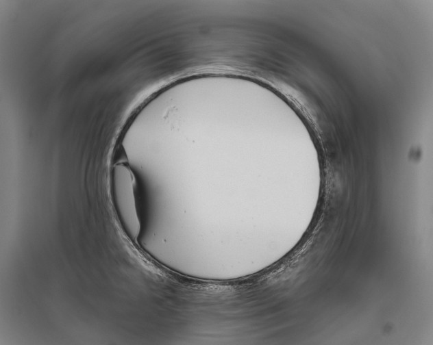 X0000096451238200802211226