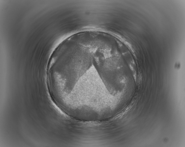 X0000096451239200802211226