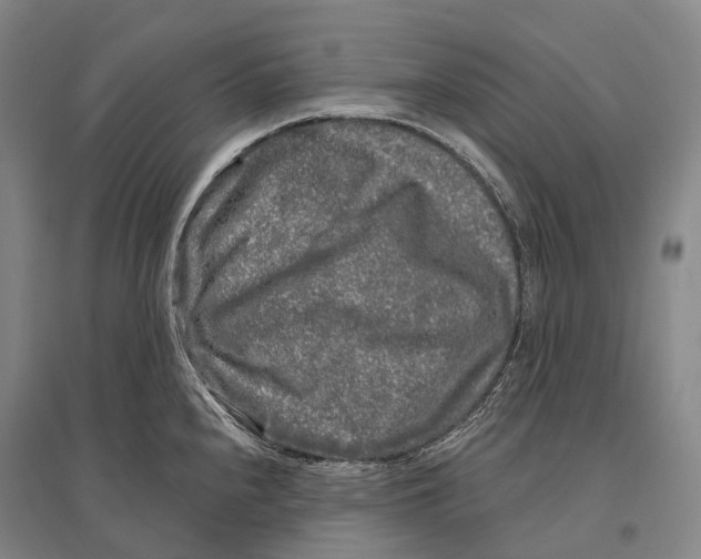 X0000096451240200802211226