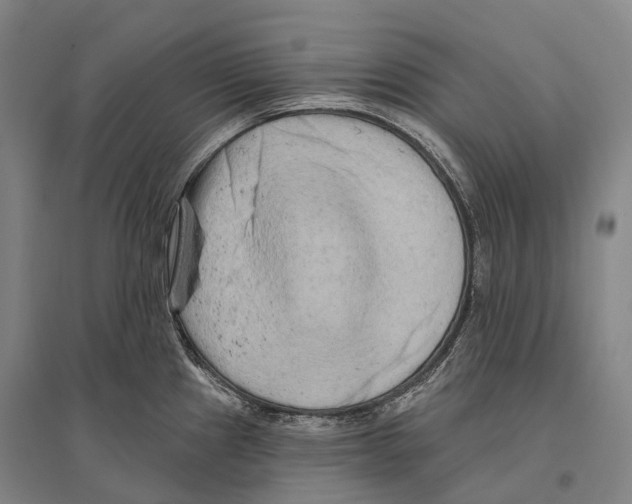 X0000096451241200802211226