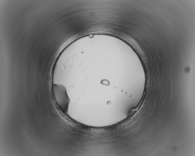 X0000096451242200802211226