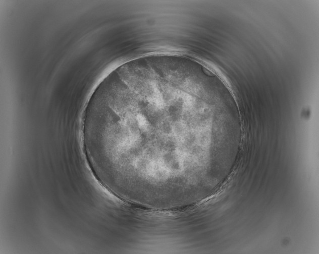 X0000096451243200802211226