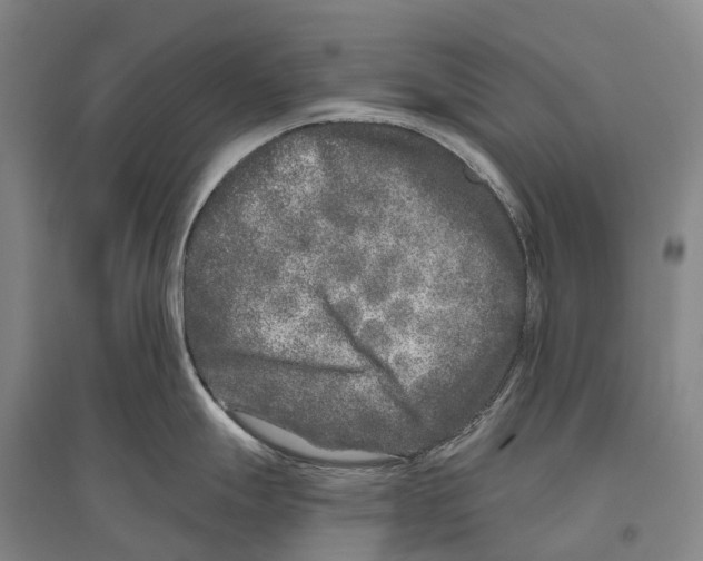 X0000096451247200802211226