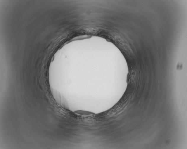 X0000096451249200802211226