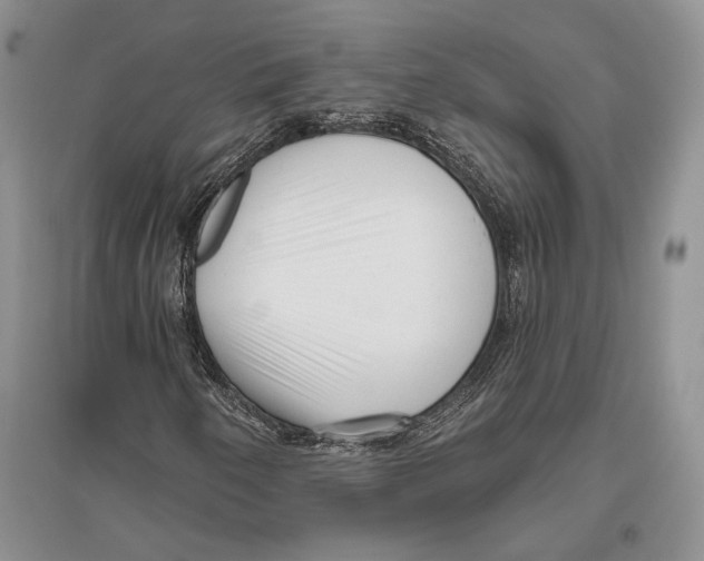 X0000096451250200802211226