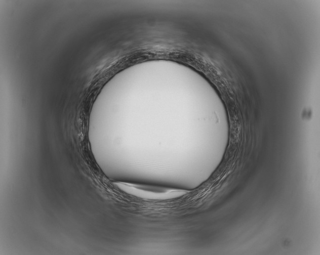 X0000096451253200802211226