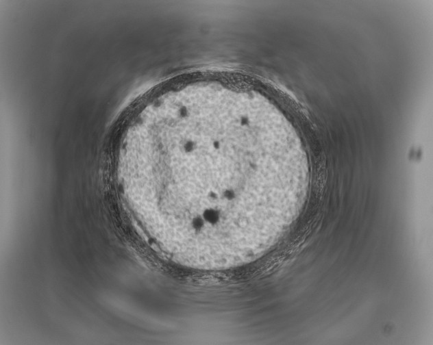 X0000096451255200802211226