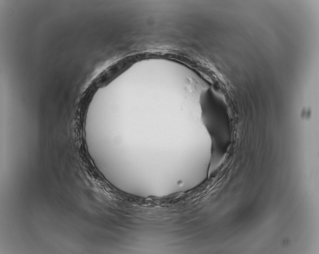 X0000096451256200802211226