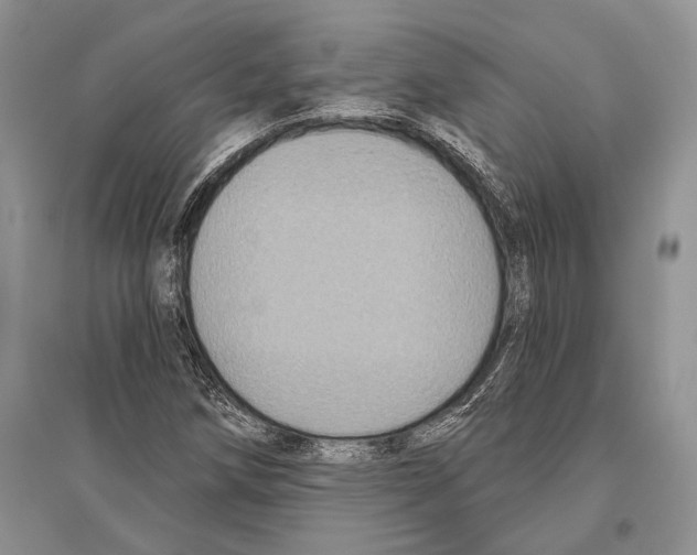 X0000096451258200802211226