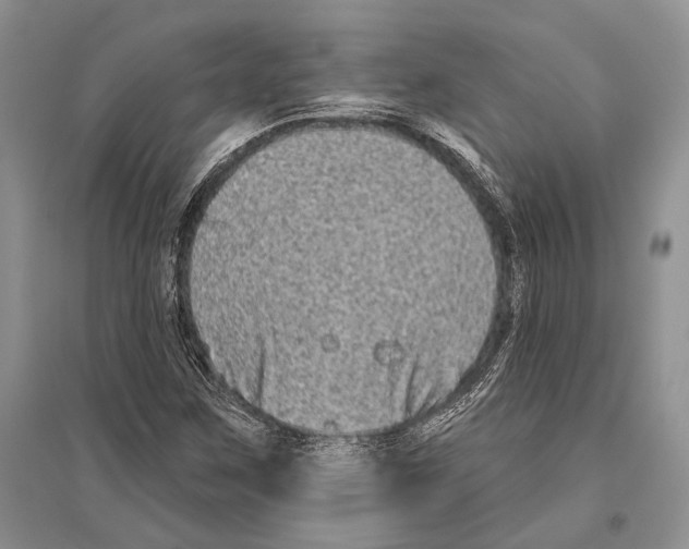 X0000096451259200802211226