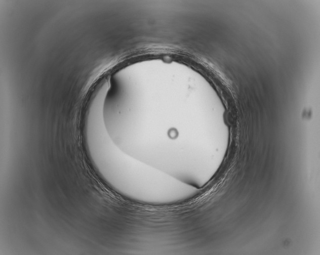 X0000096451261200802211226