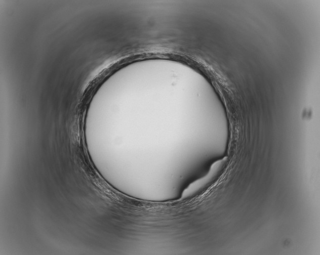 X0000096451262200802211226