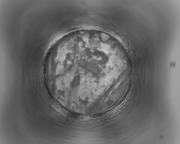 X0000096451263200802211226