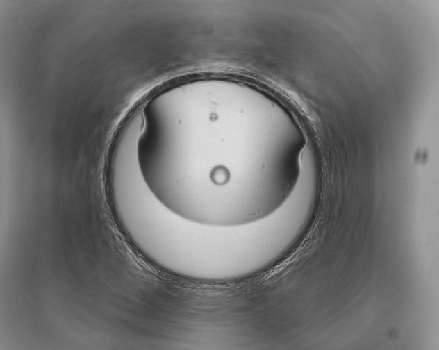 X0000096451264200802211226