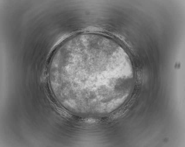 X0000096451266200802211226