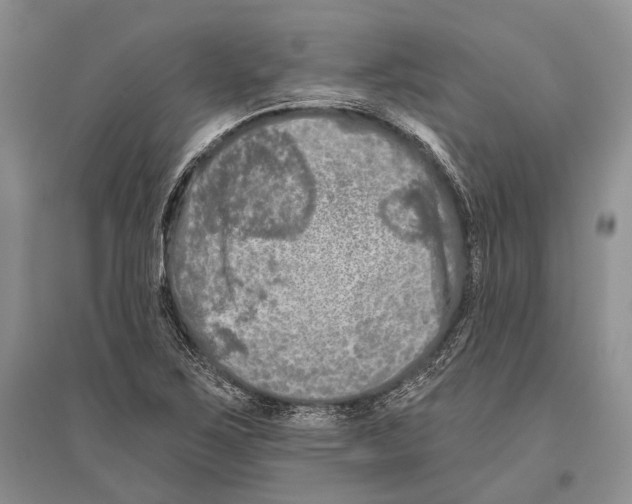 X0000096451267200802211225