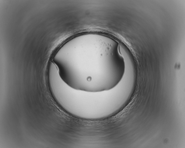 X0000096451269200802211225