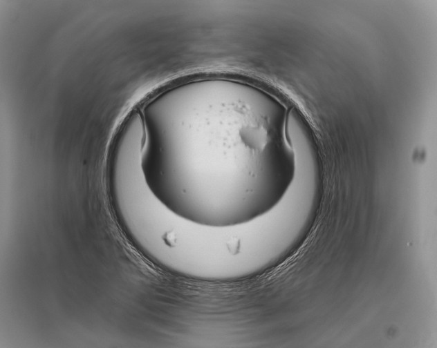 X0000096451270200802211225