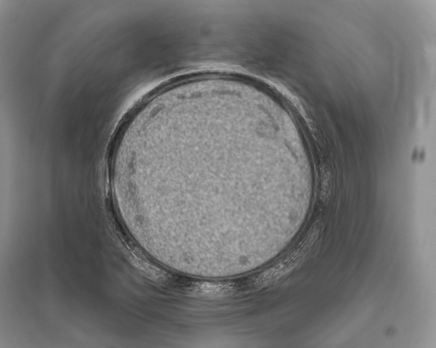 X0000096451271200802211225