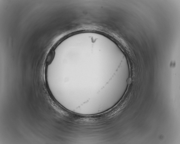 X0000096451272200802211225