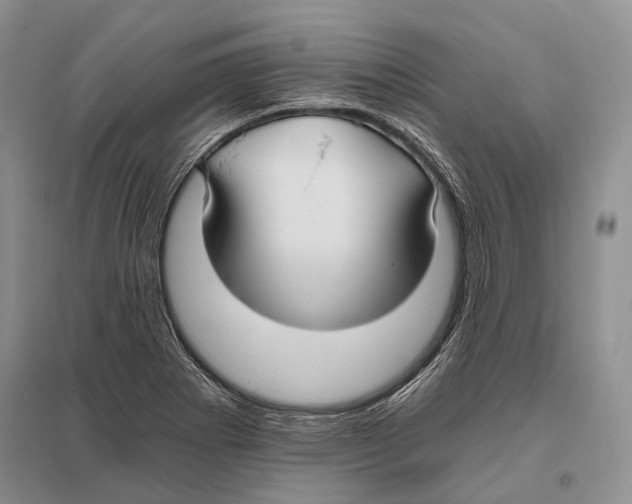 X0000096451273200802211225