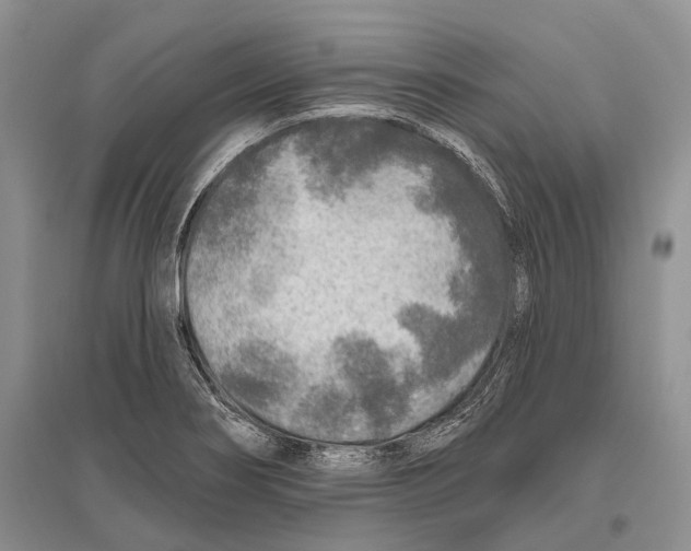 X0000096451274200802211225