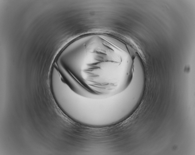 X0000096451276200802211225