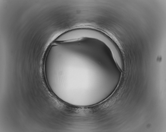 X0000096451277200802211225