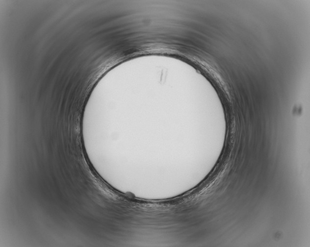 X0000096451281200802211225