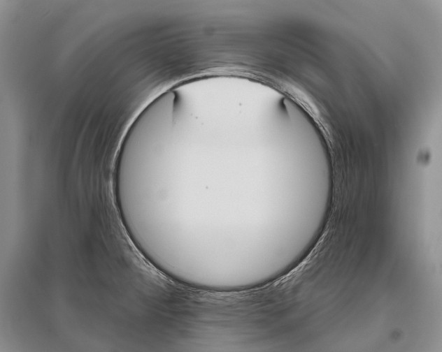 X0000096451284200802211225