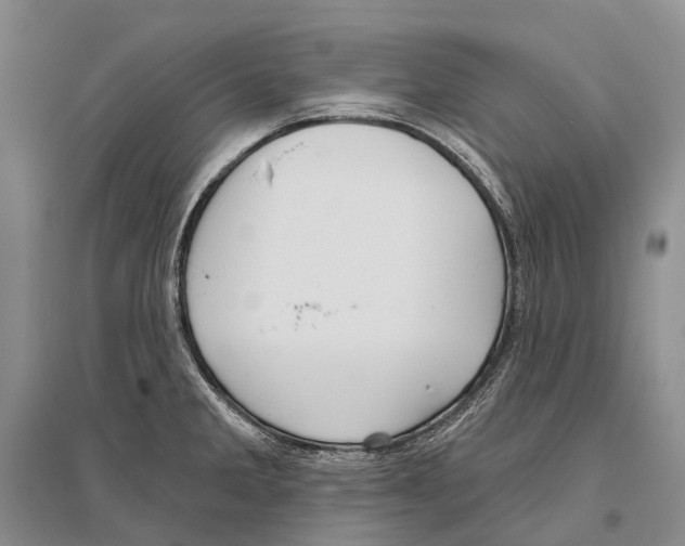 X0000096451285200802211225