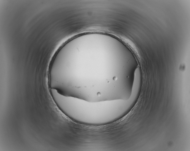 X0000096451288200802211225